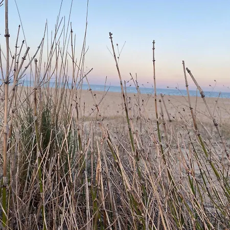 Nm שקורפילובצי