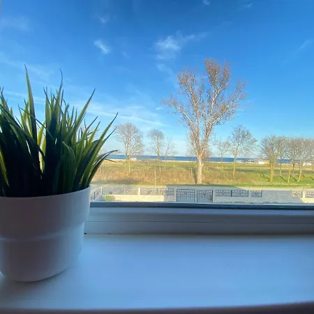 Nm 4* שקורפילובצי