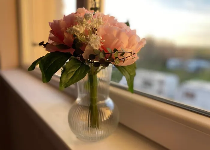 Nm Apartmanhotel Skorpilovci