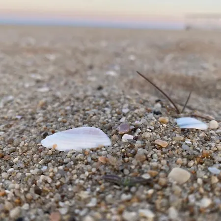 Nm 4* شكوربيلوفتسي