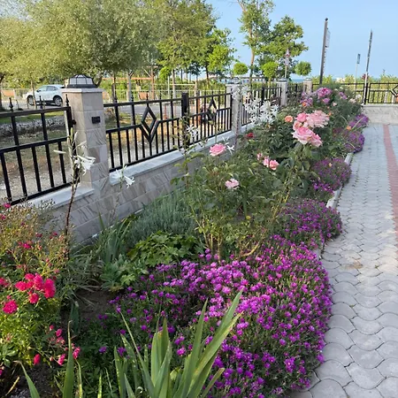 Nm 4* Шкорпиловци